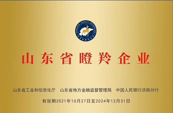 香港正牌资料